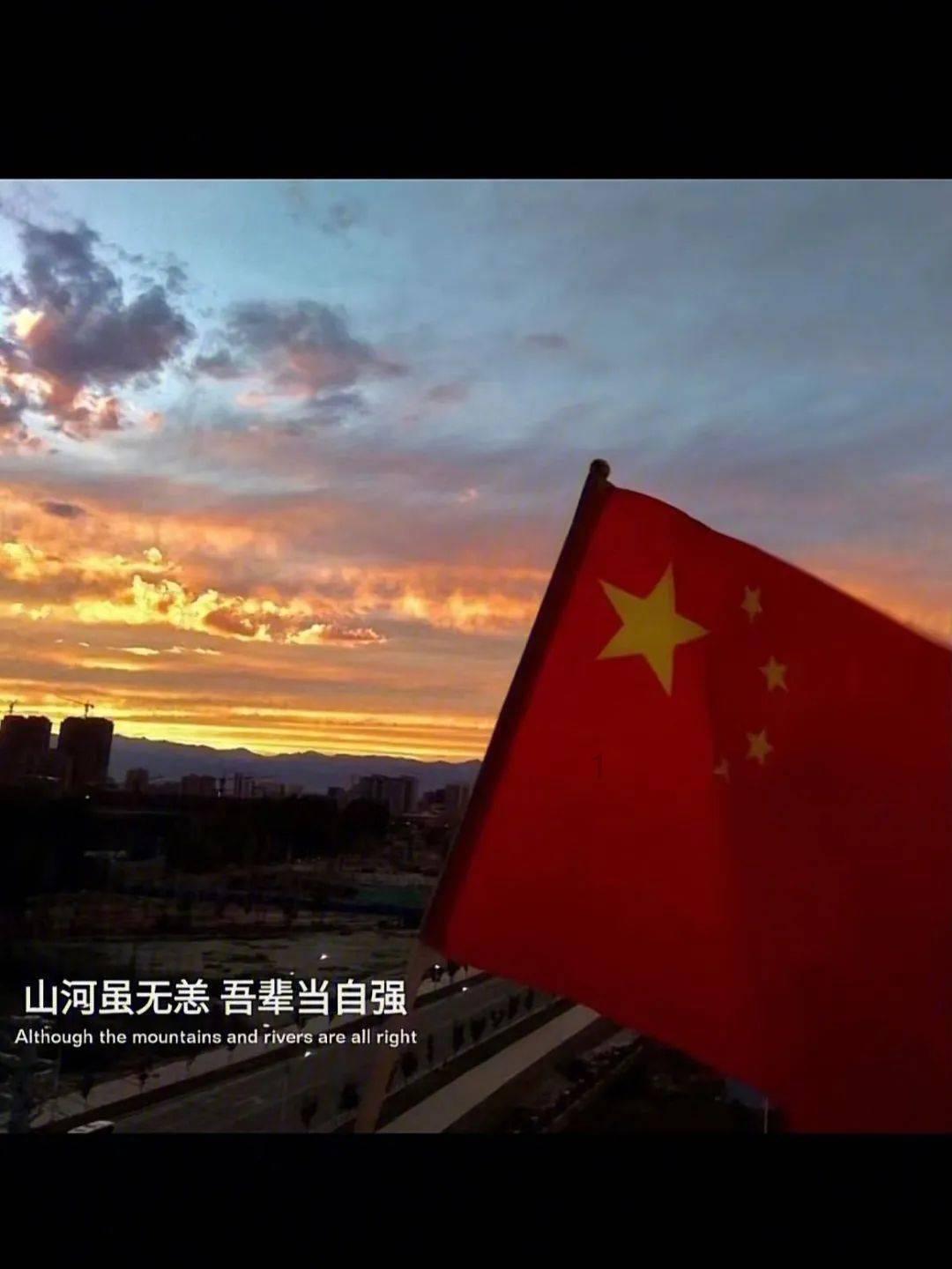 优质问答平台主人车祸去世狗狗原地痴等11年,为啥狗狗不愿意离开?,满足你的各类问题需求